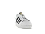 IF9995 01 S1.jpg